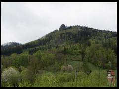 26. Trzcińsko    Sokolik