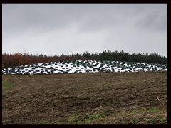 11.Suchanówko*