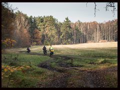 79.Krzywań*