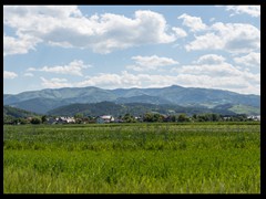 22. Gołkowice Dolne ._