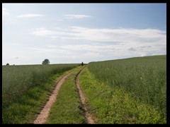 76. Zawiercie ._