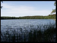 58. Bałdzki Piec - Jezioro Łowne Duże
