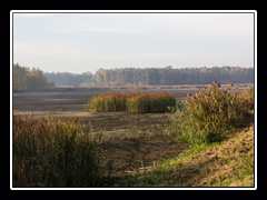Wyprawka 021 - Charłupia Wielka