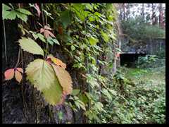 113. Wysoka -_