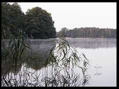 116. Wysoka -_