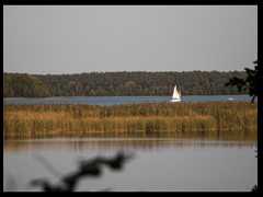 124. Lodownia - J. Niesłysz