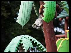 14. Dąbrowa Białogardzka - Cześć, to ja koala