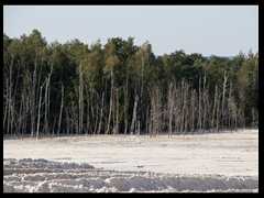 163. Zebrzydowa - Piaski Kaolin