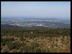 183. Izery