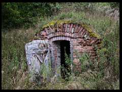 60. Strzaliny