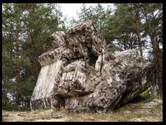69. Stare Osieczno - Ruiny bunkra -Dromedar-
