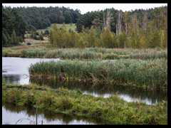 73. Stare Osieczno - Mierzęcka Struga