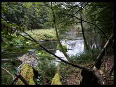 74. Przeborowo - Rz. Drawa