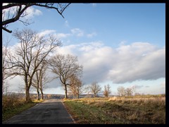 47. Różanka