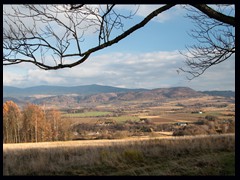 48. Różanka