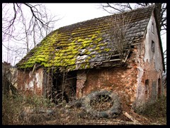 59. Lesica