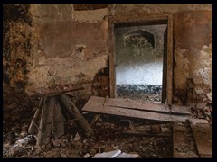 60. Lesica